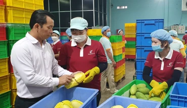 Gian nan bài toán xây dựng thương hiệu cho nông sản tại thị trường EU