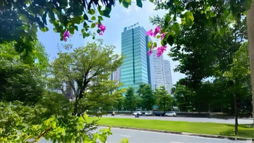 Khám phá không gian xanh ở "đại bản doanh" VNPT VinaPhone