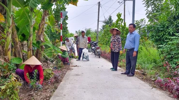 Những cô chú ấp Mỹ Phú tham gia trồng hoa trên tuyến đường giao thông nông thôn ở địa phương. 