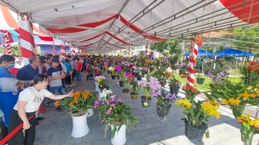 Đông đảo người dân đến chiêm ngưỡng hoa lan. 