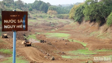 Hiện nay, trên địa bàn tỉnh Đắk Nông đã có 18 công trình thủy lợi cạn kiệt nguồn nước, hơn 3.300ha cây trồng bị ảnh hưởng do hạn hán.