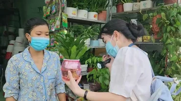 TP Hồ Chí Minh: Số ca mắc sốt xuất huyết, tay chân miệng tăng nhanh