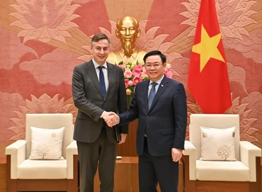 [Ảnh] Chủ tịch Quốc hội Vương Đình Huệ tiếp Chủ tịch Ủy ban Đối ngoại của Nghị viện châu Âu