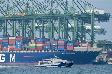 Tàu container tại cảng Pasir Panjang, Singapore. (Ảnh: AFP/TTXVN)