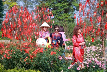 Du khách náo nức tham quan một đường hoa xuân Hà Nội. (Ảnh: Home Hanoi Xuan)