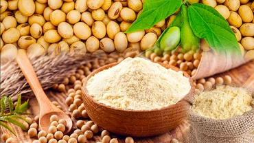 Giá khô đậu tương đột ngột tăng vọt, doanh nghiệp chăn nuôi bất an