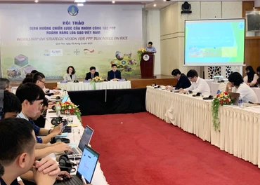 Công bố thành lập Nhóm công tác Đối tác công-tư trong ngành hàng lúa gạo.