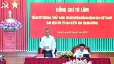 Tổng Bí thư Tô Lâm phát biểu tại buổi làm việc.
