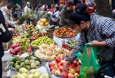 Các quầy hoa quả tấp nập khách chọn mua.
