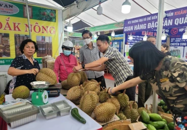 Người tiêu dùng Thủ đô thưởng thức, mua sắm các trái cây đặc sản của tỉnh Đắk Nông.