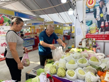 Cung ứng nông sản thực phẩm an toàn vào các chợ truyền thống
