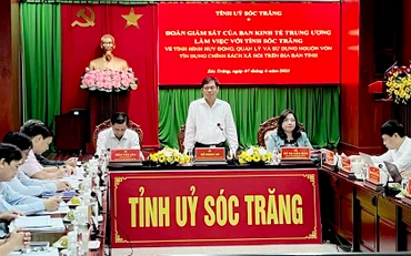 Đồng chí Đỗ Ngọc An, Phó Trưởng Ban Kinh tế Trung ương, phát biểu tại cuộc làm việc.