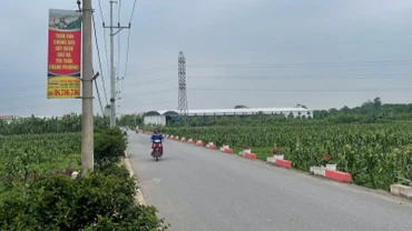 Hệ thống hạ tầng nông thôn huyện Gia Lâm được đầu tư đồng bộ. 