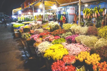 Các loài hoa khoe sắc trong đêm là nét đẹp của chợ hoa Quảng An.