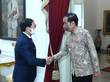Bộ trưởng Ngoại giao Bùi Thanh Sơn tiếp kiến Tổng thống Indonesia Joko Widodo. (Ảnh: Bộ Ngoại giao)