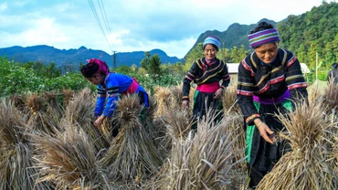 Việt Nam nỗ lực triển khai và thực thi Công ước CERD, tăng cường sự thụ hưởng các quyền về mọi mặt của người dân tộc thiểu số. (Ảnh minh họa: THÀNH ĐẠT) 