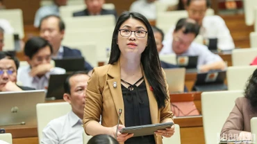 Áp dụng nguyên tắc cho “con cá” và “cần câu” phù hợp để giảm nghèo bền vững
