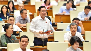 Đại biểu Nguyễn Văn Huy - Đoàn đại biểu Quốc hội tỉnh Thái Bình phát biểu. (Ảnh: THỦY NGUYÊN)