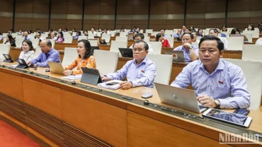 Các đại biểu Quốc hội làm việc tại hội trường. (Ảnh: DUY LINH)
