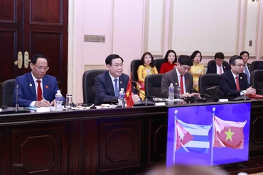 Chủ tịch Quốc hội Vương Đình Huệ phát biểu tại hội đàm. (Ảnh: Doãn Tấn/TTXVN)