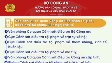 Hướng dẫn tố giác, báo tin về tội phạm, kiến nghị khởi tố từ ngày 1/3/2025