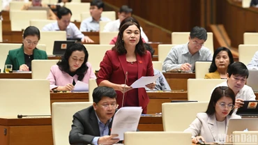 Đại biểu Đặng Bích Ngọc - Đoàn đại biểu Quốc hội tỉnh Hòa Bình phát biểu. (Ảnh: THỦY NGUYÊN) 