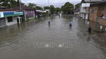 Cảnh ngập lụt sau những trận mưa lớn do ảnh hưởng của bão tại Puerto Barrios, Izabal, Guatemala, ngày 5/11/2020. (Ảnh tư liệu: AFP/TTXVN) 