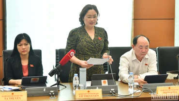 Đại biểu Lò Thị Luyến (Điện Biên) phát biểu thảo luận tại Tổ 8. (Ảnh: THỦY NGUYÊN)
