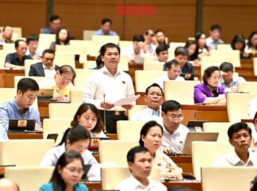 Khắc phục chồng chéo trong hệ thống pháp luật về đất đai 