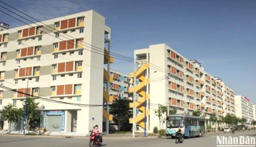 Tránh tình trạng người thu nhập cao "tranh mua" nhà ở xã hội với người thu nhập thấp