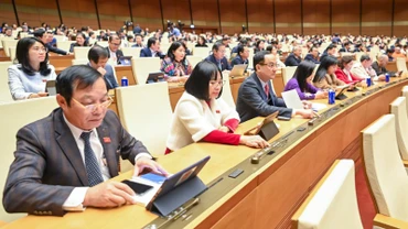 Các đại biểu tiến hành biểu quyết. (Ảnh: DUY LINH) 