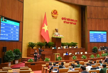 Quốc hội biểu quyết thông qua Luật Quản lý, sử dụng vũ khí, vật liệu nổ và công cụ hỗ trợ (sửa đổi) tại phiên họp sáng 29/6. (Ảnh: DUY LINH) 