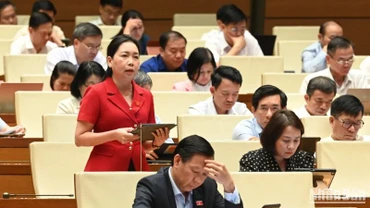 Đại biểu Lý Tiết Hạnh (Bình Định) phát biểu. (Ảnh: BÙI GIANG) 