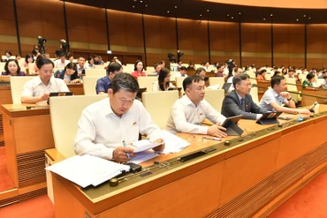 Các đại biểu Quốc hội tham dự phiên họp sáng 22/6. (Ảnh: ĐĂNG KHOA)