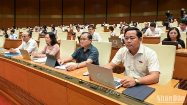 Các đại biểu tham dự phiên họp. (Ảnh: BÙI GIANG)