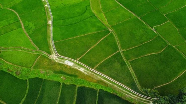 Với kế hoạch sử dụng vốn vừa phê duyệt, ADB hướng tới mục tiêu mở rộng phân bổ và sử dụng vốn, tạo động lực hỗ trợ các quốc gia thành viên đang phát triển giải quyết các ưu tiên cấp thiết. (Ảnh minh họa: ADB) 