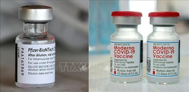 Vaccine ngừa Covid-19 của Moderna và Pfizer/BioNTech. (Ảnh: AFP/TTXVN)