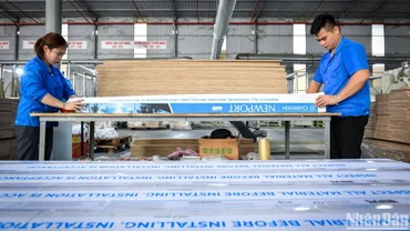 Nền kinh tế Việt Nam được ADB dự báo tăng trưởng ở mức 6,0% trong năm 2024. (Ảnh minh họa: THÀNH ĐẠT) 