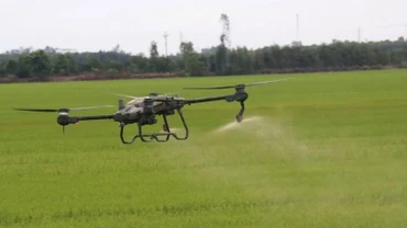 Thiết bị bay không người lái phun thuốc bảo vệ thực vật trên cánh đồng lúa xã Tân Nghĩa, huyện Cao Lãnh, Đồng Tháp. (Ảnh minh họa: TTXVN) 