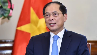 Phó Thủ tướng, Bộ trưởng Ngoại giao Bùi Thanh Sơn. (Ảnh: Báo Thế giới và Việt Nam)
