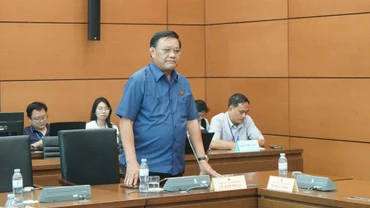 Đại biểu Lê Kim Toàn (Bình Định) phát biểu. (Ảnh: TRUNG HƯNG) 
