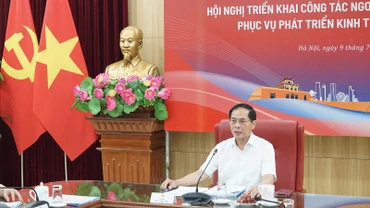 Bộ trưởng Ngoại giao Bùi Thanh Sơn phát biểu tại hội nghị. (Ảnh: TRUNG HƯNG) 