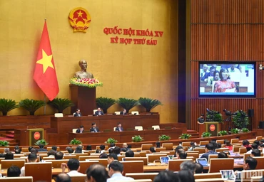 Quang cảnh phiên họp của Quốc hội, ngày 28/11/2023. (Ảnh: DUY LINH)
