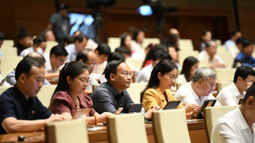 Các đại biểu Quốc hội làm việc tại hội trường, sáng 19/6. (Ảnh: DUY LINH)