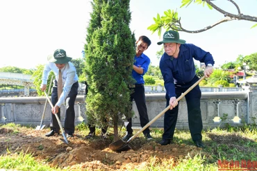 Bí thư Trung ương Đảng, Trưởng Ban Tuyên giáo Trung ương Nguyễn Trọng Nghĩa cùng các đại biểu trồng cây tùng bút tại Nghĩa trang Liệt sĩ quốc gia Đường 9.