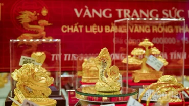 Ảnh: THÀNH ĐẠT