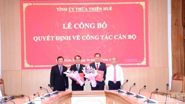 Đồng chí Bí thư Tỉnh ủy Lê Trường Lưu cùng Phó Bí thư Thường trực Tỉnh ủy Phan Ngọc Thọ trao Quyết định và tặng hoa chúc mừng các cá nhân.