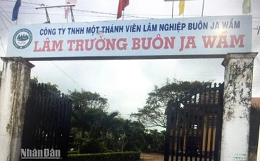 Trụ sở Lâm trường Buôn Ja Wầm.