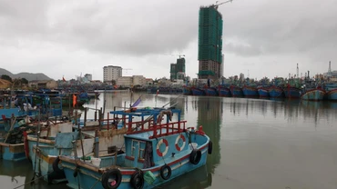 Bộ Chỉ huy Bộ đội Biên phòng tỉnh Bình Định đã phối hợp các đơn vị, gia đình các chủ tàu thông báo cho các thuyền trưởng tàu thuyền đang hoạt động trên biển biết vị trí và hướng di chuyển của bão để chủ động phòng tránh.