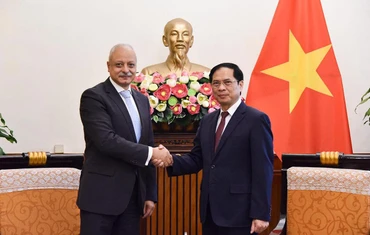 Bộ trưởng Ngoại giao Bùi Thanh Sơn tiếp xã giao Trợ lý Bộ trưởng Ngoại giao Ai Cập Ayman Aly Kamel Aly. (Ảnh: Bộ Ngoại giao)